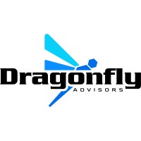 Dragonfly Advisors logo - Similar company to Love Your Bath