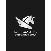 Pegasus Entertainment Group logo - Similar company to Lensa Ips