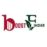 Boost Finders Digital Hub logo - Similar company to Hiredynamicsdevelopers.Com