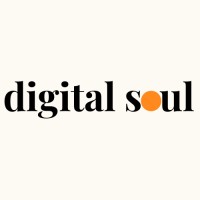 Digital Soul Marketing logo - Similar company to 4Brix Gmbh