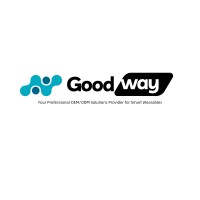 Goodway Techs logo - Similar company to Looktech Ai Glasses