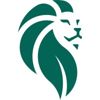 Liion Power logo - Similar company to Flowbeams