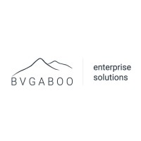 Bvgaboo Enterprise Solutions