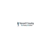 Macrosoft IT Consulting logo - Similar company to Macrosoft Inc