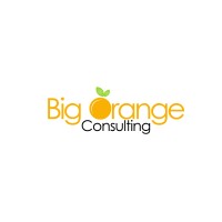 Big Orange Consulting logo - Similar company to Srs Architects