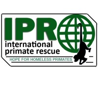 International Primate Rescue logo - Similar company to Sydney Bats