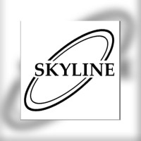 Skyline Automovers Private Limited logo - Similar company to Skyline Movers Inc
