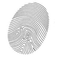 Adayaalam Centre for Policy Research logo - Similar company to Sdcc-Ap