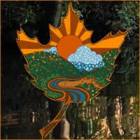 Camp Dark Waters logo - Similar company to Ymca Camp Chingachgook