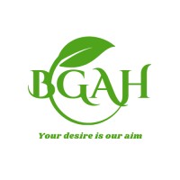 BGAH Digital Service Agency logo - Similar company to Jean