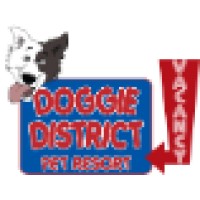 Doggie District Pet Resort