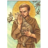 St. Francis' Feral Cat Sanctuary Organization logo - Similar company to Wild Angels Feral Cat Program Inc