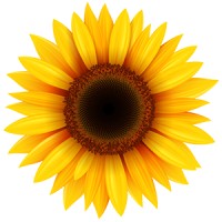 The Family Enhancement Centre logo - Similar company to One Step Tutoring