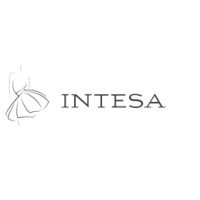 INTESA C. SRL logo - Similar company to Sprint Computer Services Srl