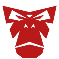 RideLink logo - Similar company to Kurviger