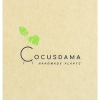 Cocusdama logo - Similar company to Lead Up