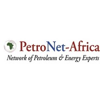 PetroNet-Africa logo - Similar company to Entekhub