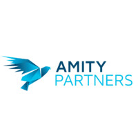 Amity Partners logo - Similar company to Ils World