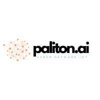 Paliton Networks