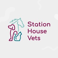 STATION HOUSE VETS logo - Similar company to Stray Aid