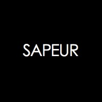 SAPEUR logo - Similar company to Sapeur Gmbh
