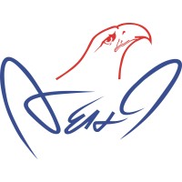 AEHI Inc logo - Similar company to Intentionally Human