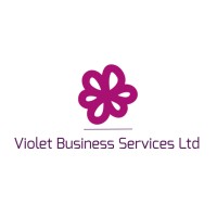 Violet Business Services Ltd logo - Similar company to 500 More