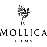 Mollica Films logo - Similar company to Cecco Consultoria Contábil