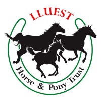 LLUEST HORSE AND PONY TRUST logo - Similar company to Stonehaven Ventures