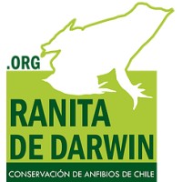 Ranita de Darwin ONG logo - Similar company to Entre Lengas Ong
