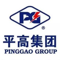 Pinggao Group Co., Ltd. logo - Similar company to Dishelec-65