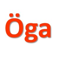 Oga Technologies Pvt Ltd logo - Similar company to Synergi Solutions