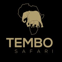 Tembo Safari logo - Similar company to Jdm Consulting