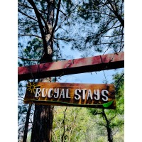 Luxus Bugyal Stay - Pauri logo - Similar company to Brys Caves, The Jungle Resort