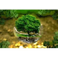 GreenSustain Africa logo - Similar company to Dinnytech