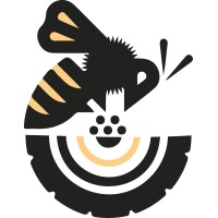 DVHIVE logo - Similar company to Kaius Black