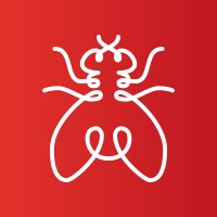 SneakFly Productions logo - Similar company to Cdvt - Comunidad De Desarrolladores De Videojuegos De Tucumán