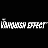 The Vanquish Effect™ logo - Similar company to The Studley Company