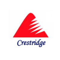 Crestridge Consulting, Inc. logo - Similar company to Imperio Construction