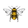 Mongoose Bridges - The Victorian Gardener logo - Similar company to 10 Years Ahead