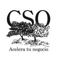 CSO ACELERA TU NEGOCIO logo - Similar company to Hdde