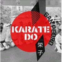 Karate Do San Pedro logo - Similar company to Transformagency