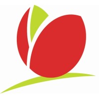NUXILOG logo - Similar company to Fci Diffusion