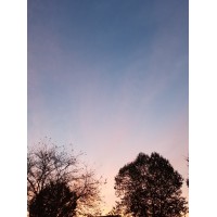 N/A