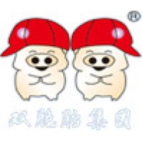 双胞胎(集团)股份有限公司 logo - Similar company to 瑞诺国际