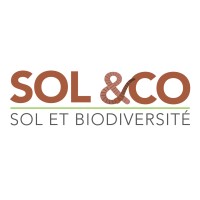Sol &co logo - Similar company to Econick