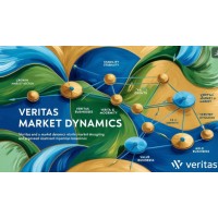 Veritas Market Dynamics logo - Similar company to Extru-Tech Solutions Inc.