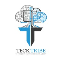 Tecktribe Solutions logo - Similar company to Future Global It Solutions