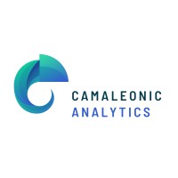 Camaleonic Analytics logo - Similar company to Raw Podcast