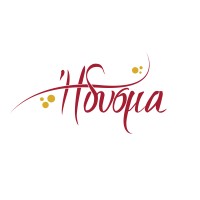 idisma logo - Similar company to Loopylens